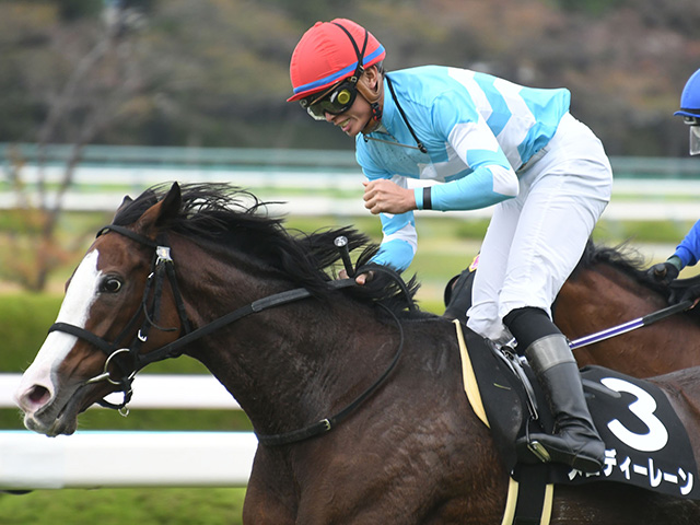 古都Ｓ】メロディーレーンが菊花賞馬弟タイトルホルダーと同じ阪神三千