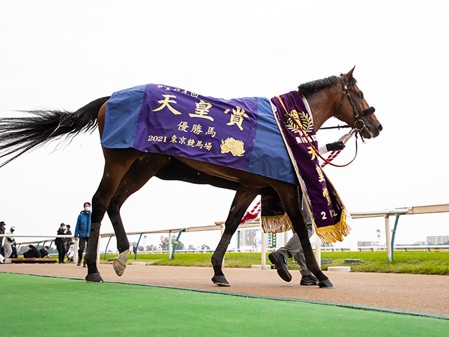 天皇賞・秋】売上は223億4146万1800円で昨年からおよそ8.3億円の増加