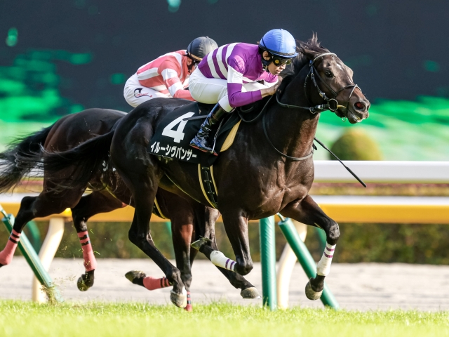 ノベンバーS】(東京) イルーシヴパンサーが馬群から鋭く差し切り4勝目 