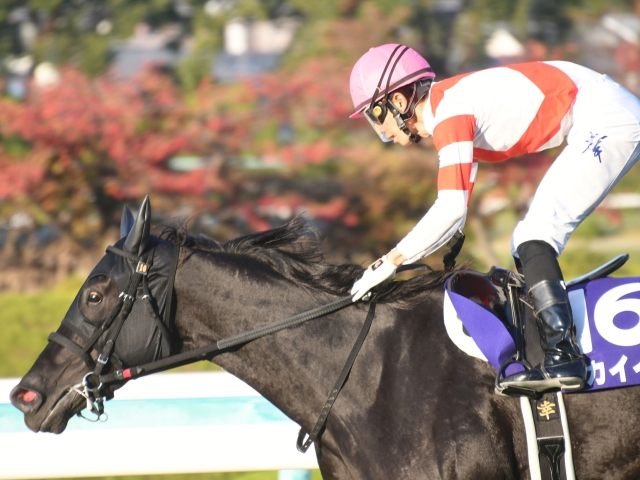 勝負の分かれ目 エリザベス女王杯】幸騎手の大胆な騎乗でアカイイトがGI初制覇 | 競馬ニュース - netkeiba