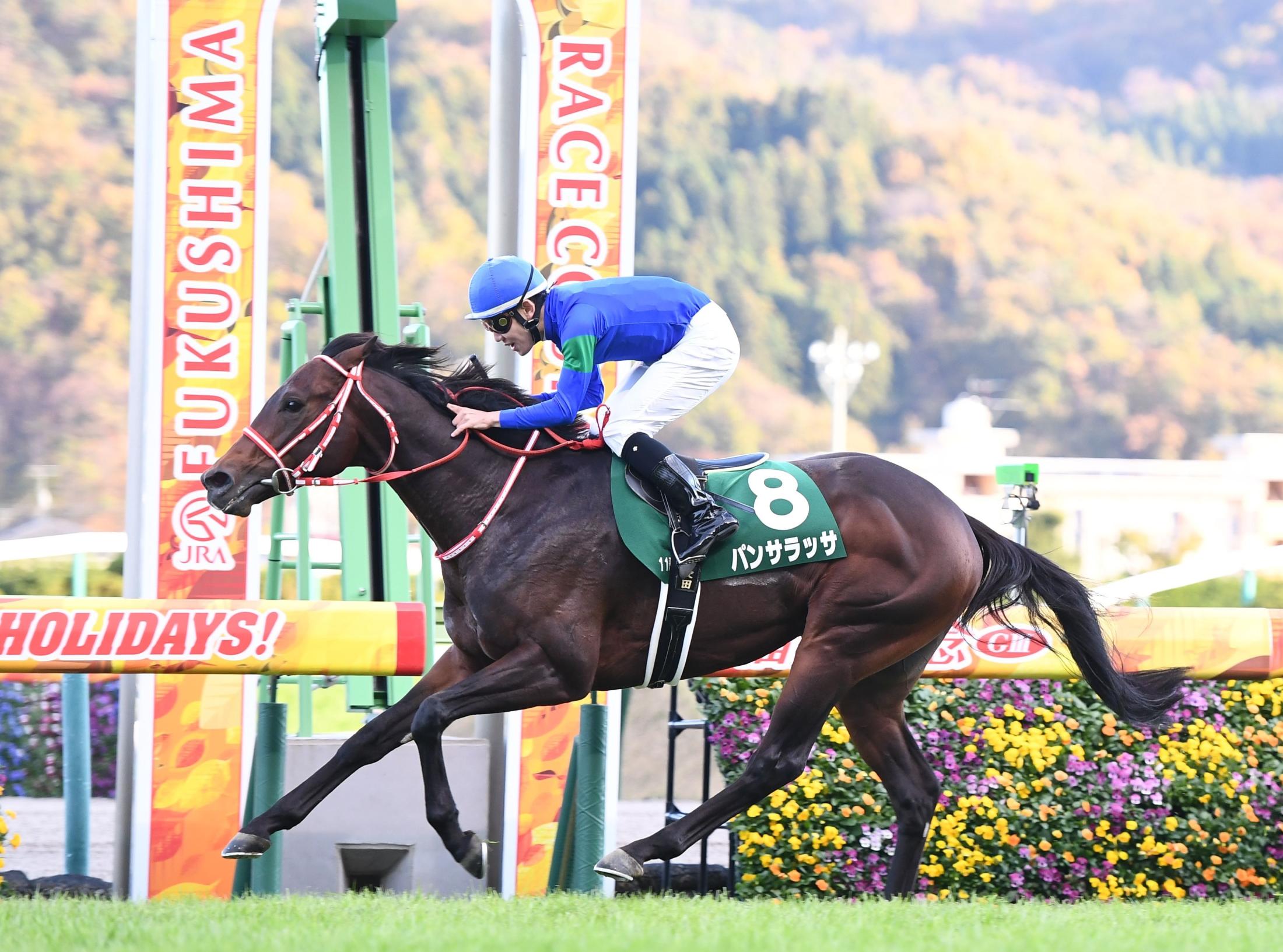 福島記念】パンサラッサ 快逃で重賞初Ｖ 菱田「ハナに行こうと決めてた」 | 競馬ニュース - netkeiba