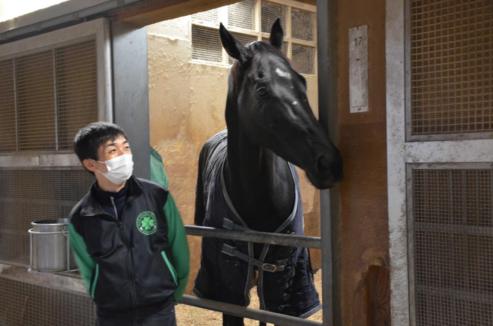 アカイイト元気 陣営「いつもと変わらない」 エリザベス女王杯Ｖから一夜明け | 競馬ニュース - netkeiba