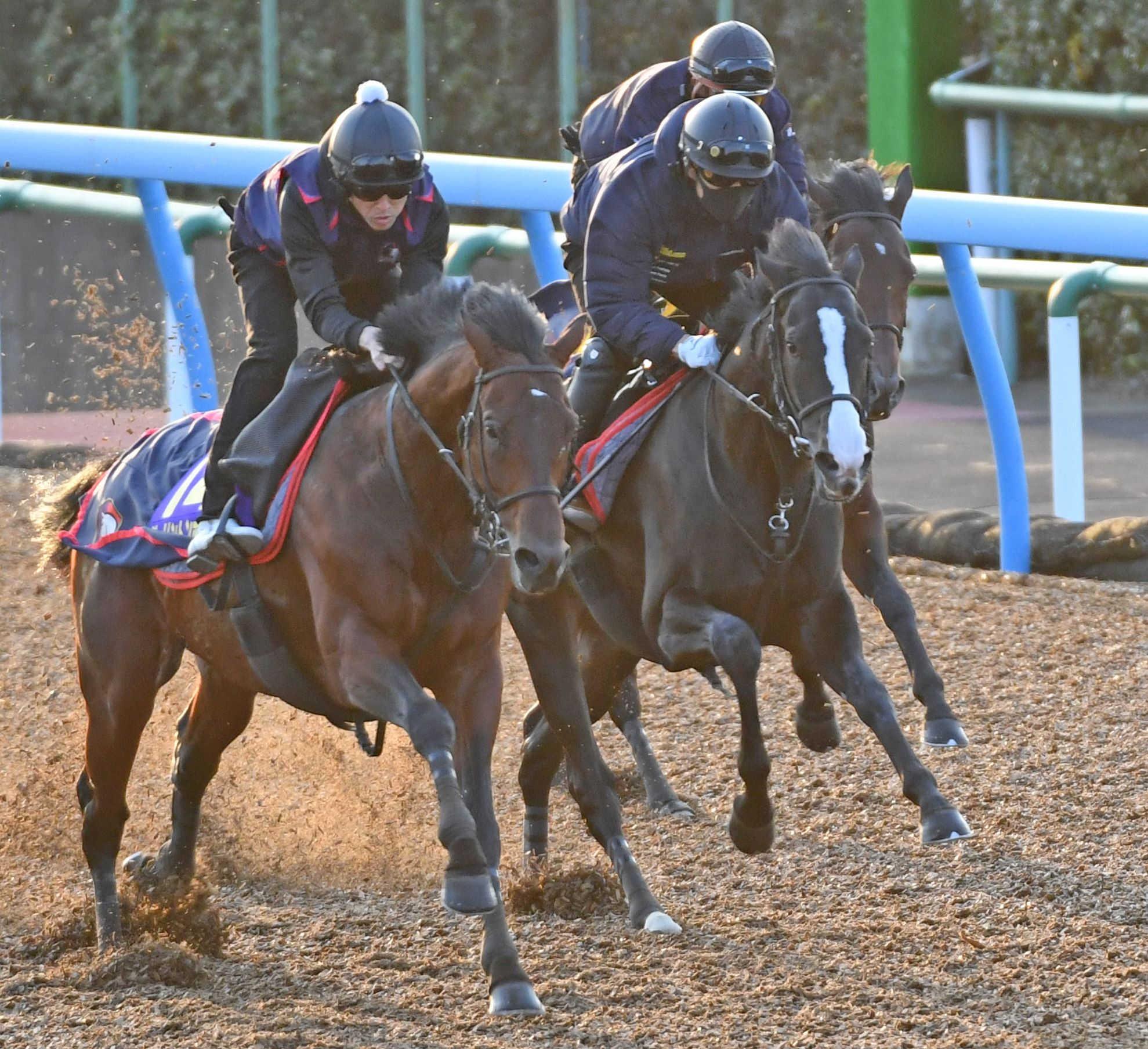 東スポ杯２歳Ｓ】イクイノックス ３カ月ぶりの一戦へ順調 血統的にも