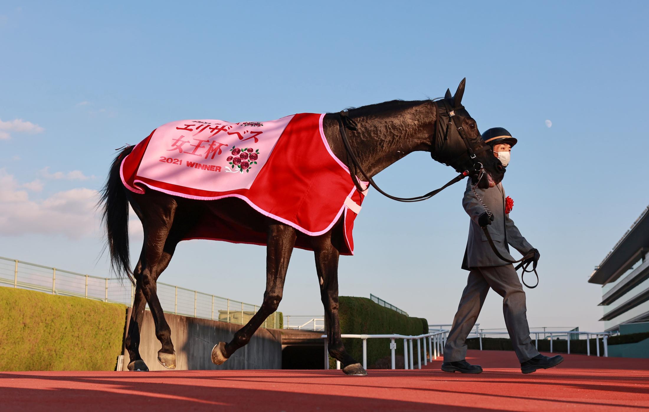 エリザベス女王杯Ｖのアカイイトが有馬参戦 鞍上の幸は有馬初騎乗 | 競馬ニュース - netkeiba