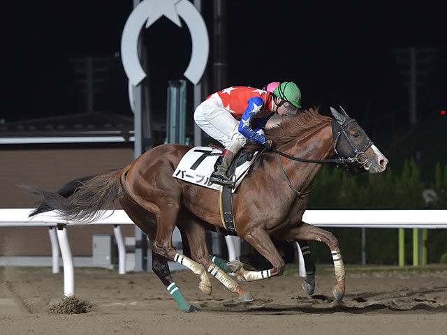 地方競馬】大井競馬初の左回りはバーブルが優勝！鞍上の御神本訓史騎手は地方通算2500勝達成 | 競馬ニュース - netkeiba