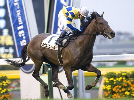 2009年の日本ダービー馬、ロジユニヴァースが引退 | 競馬ニュース 