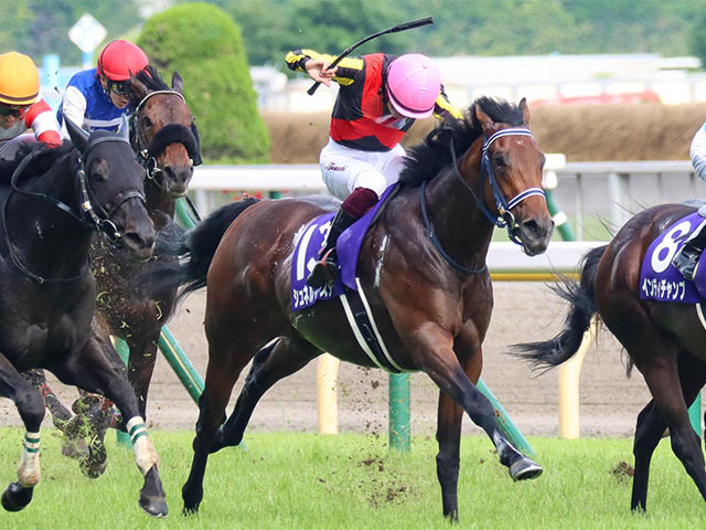 マイルCS・馬体重】シュネルマイスターは480kg(-2)、グランアレグリア 