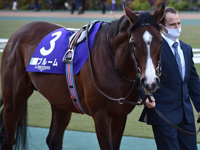 ジャパンカップ出走のブルームが骨折、ジャパンと共に香港国際競走は