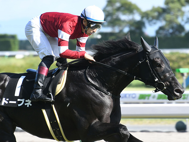 朝日杯FS想定】2戦2勝ドウデュースは武豊騎手、ドーブネは吉田隼人騎手 | 競馬ニュース - netkeiba