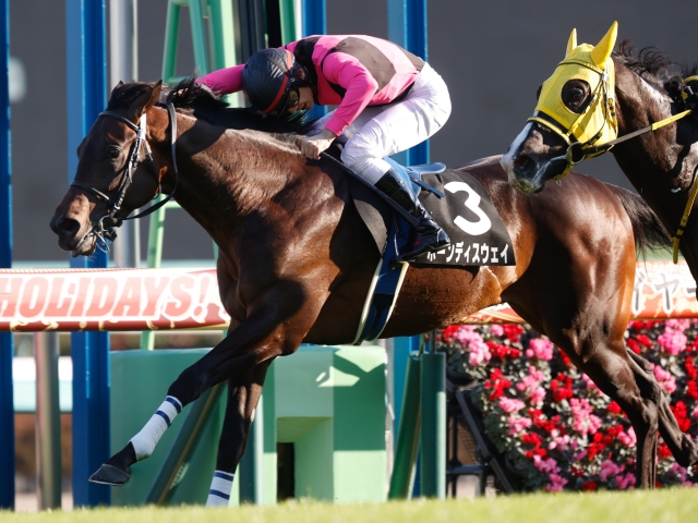 葉牡丹賞結果】ハーツクライ産駒ボーンディスウェイが逃げ切って連勝