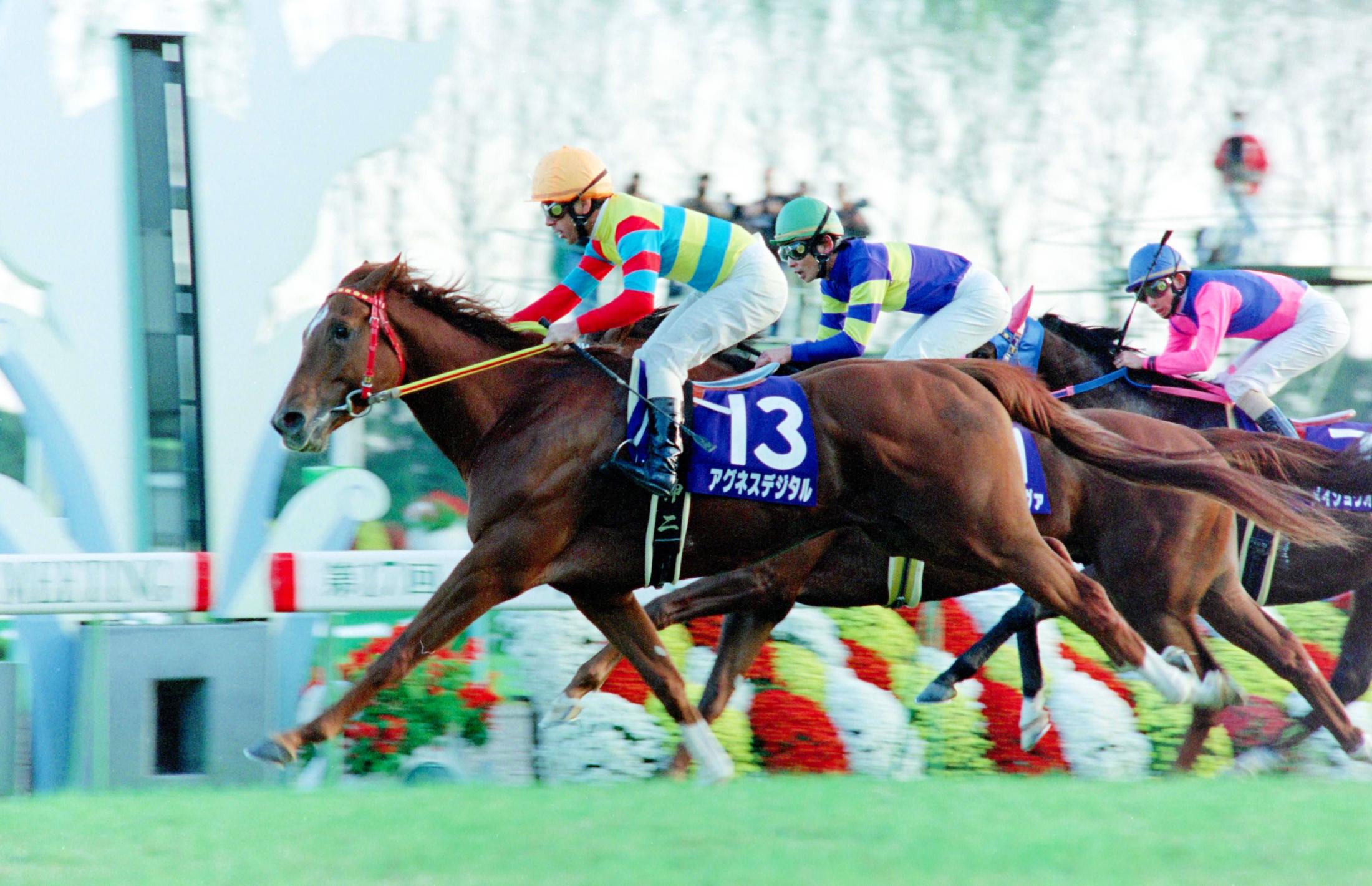 元祖二刀流 アグネスデジタル死す 芝＆ダートでＧ１制覇 | 競馬