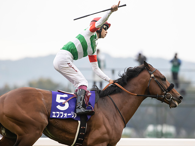 有馬記念想定】エフフォーリアは横山武史騎手、タイトルホルダーは横山和生騎手 | 競馬ニュース - netkeiba