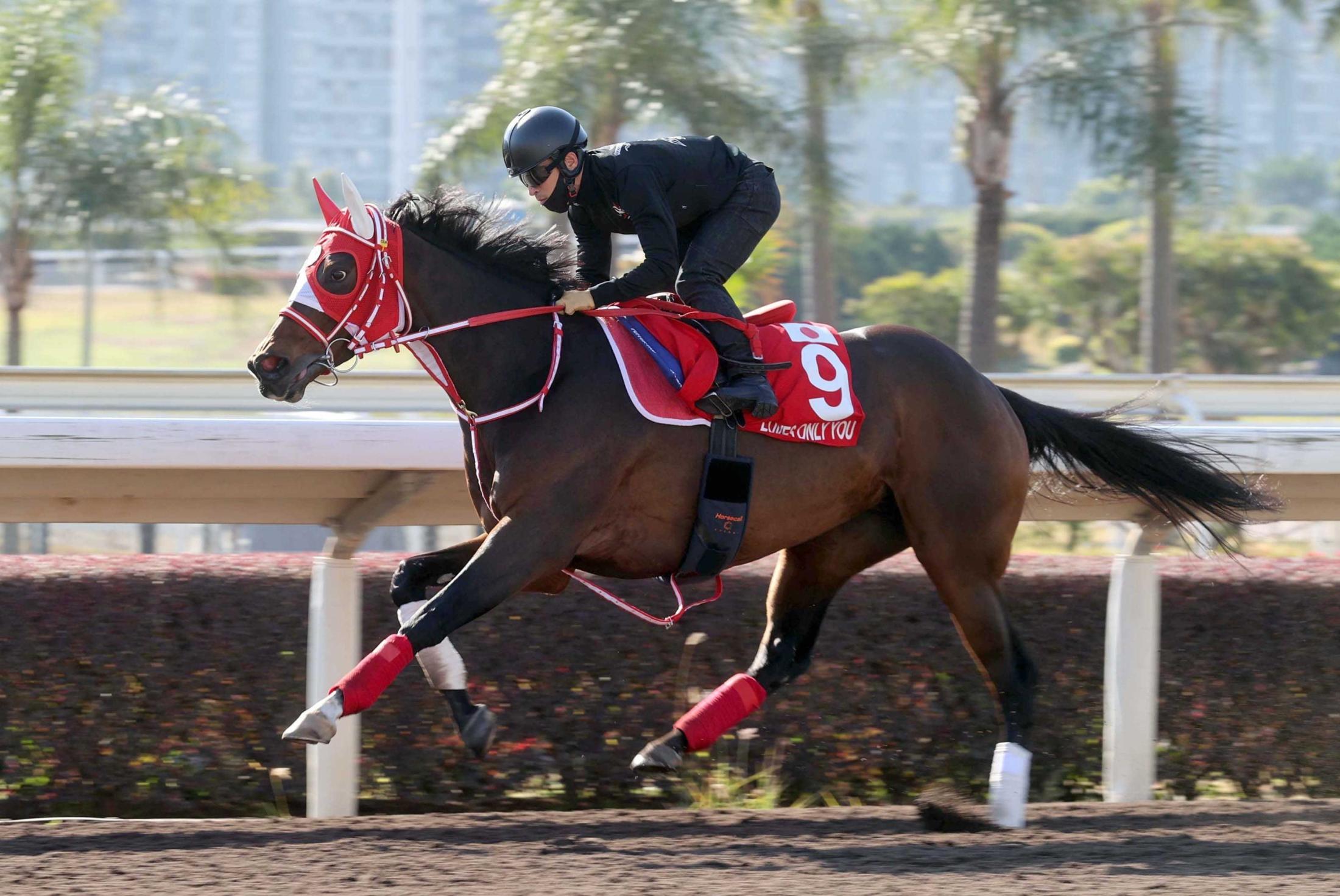 香港カップ】ラヴズオンリーユー 海外Ｇ１Ｖ３不安なし 内枠ゲット ...