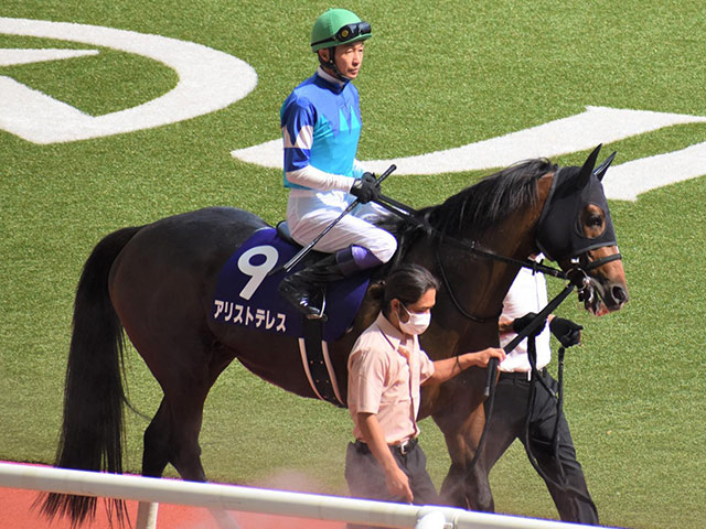 次走】アリストテレスは武豊騎手とのコンビで有馬記念へ | 競馬