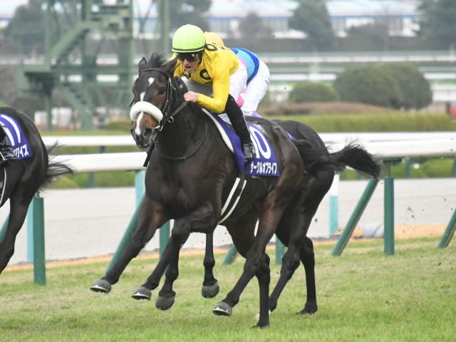 阪神JF結果】サークルオブライフが差し切りを決め3連勝で2歳女王に輝く