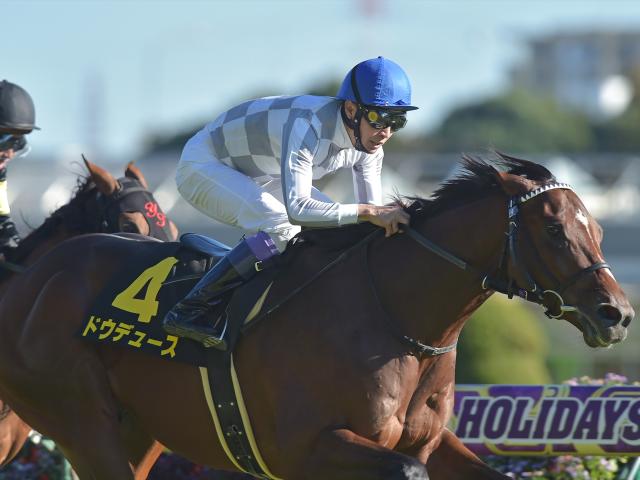 朝日杯FS】武豊騎手の初勝利なるか 出世レース制した一頭に要注目 | 競馬ニュース - netkeiba