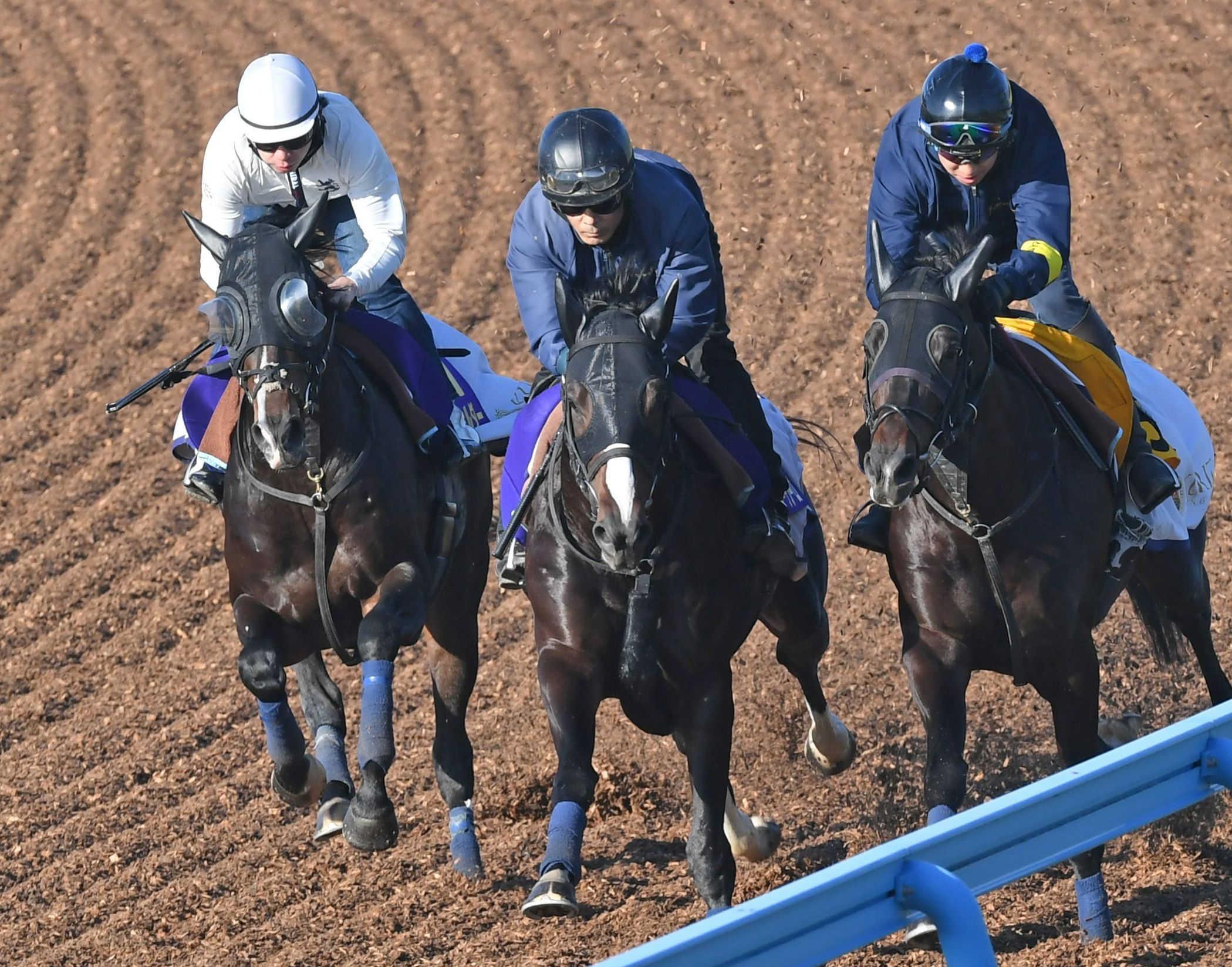 有馬記念】タイトルホルダー 快走 新コンビの横山和 菊花賞馬に