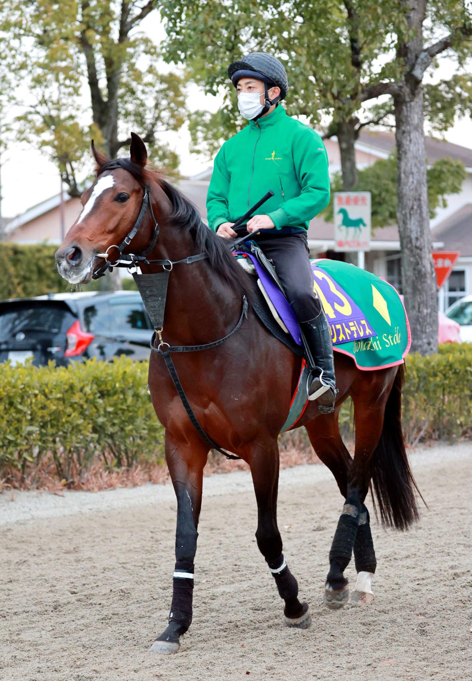 ハズレ馬券 有馬記念 アリストテレス がんばれ - スポーツ