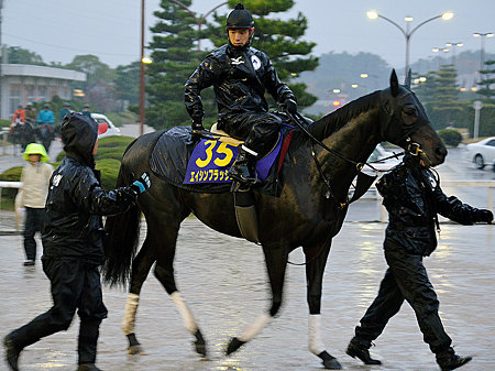 エイシンフラッシュ、JC1週前追い切り速報/栗東トレセンニュース | 競馬ニュース - netkeiba