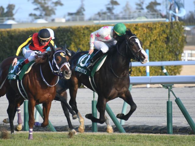 シンザン記念結果】横山典弘騎手騎乗マテンロウオリオンが内から抜け出て連勝で重賞制覇 | 競馬ニュース - netkeiba