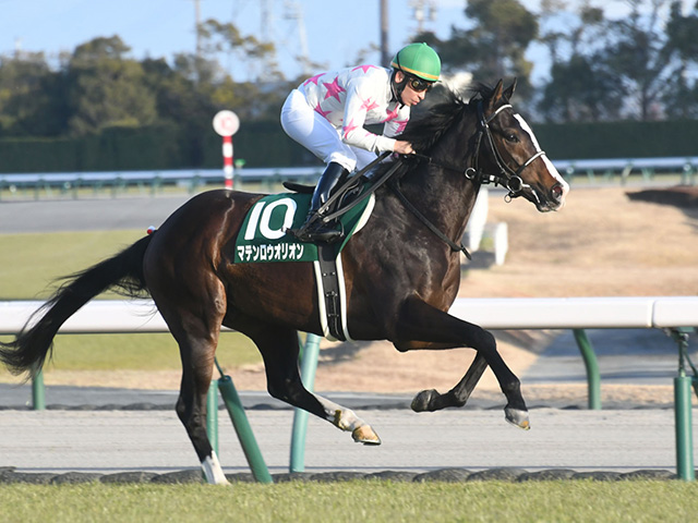 シンザン記念レース後コメント】マテンロウオリオン横山典弘騎手ら | 競馬ニュース - netkeiba