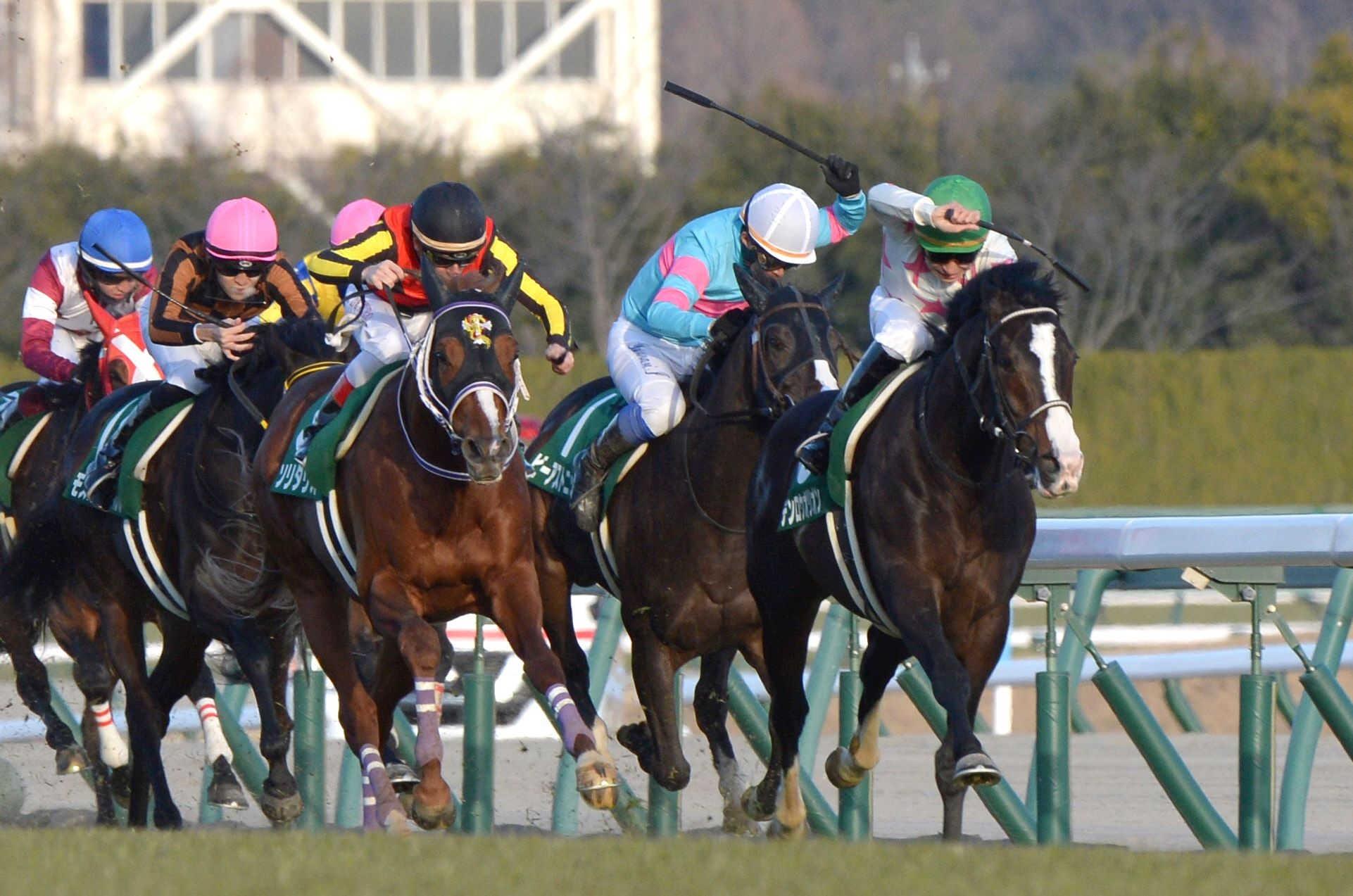 シンザン記念】マテンロウオリオン ３歳重賞一番星 鮮やか横山典！キラリ好騎乗 | 競馬ニュース - netkeiba