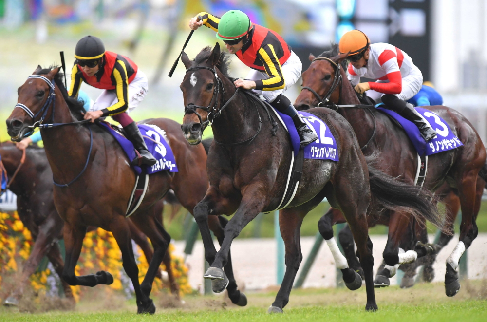 グランアレグリア 衝撃のレース 安田記念よりも印象に残る一戦とは | 競馬ニュース - netkeiba