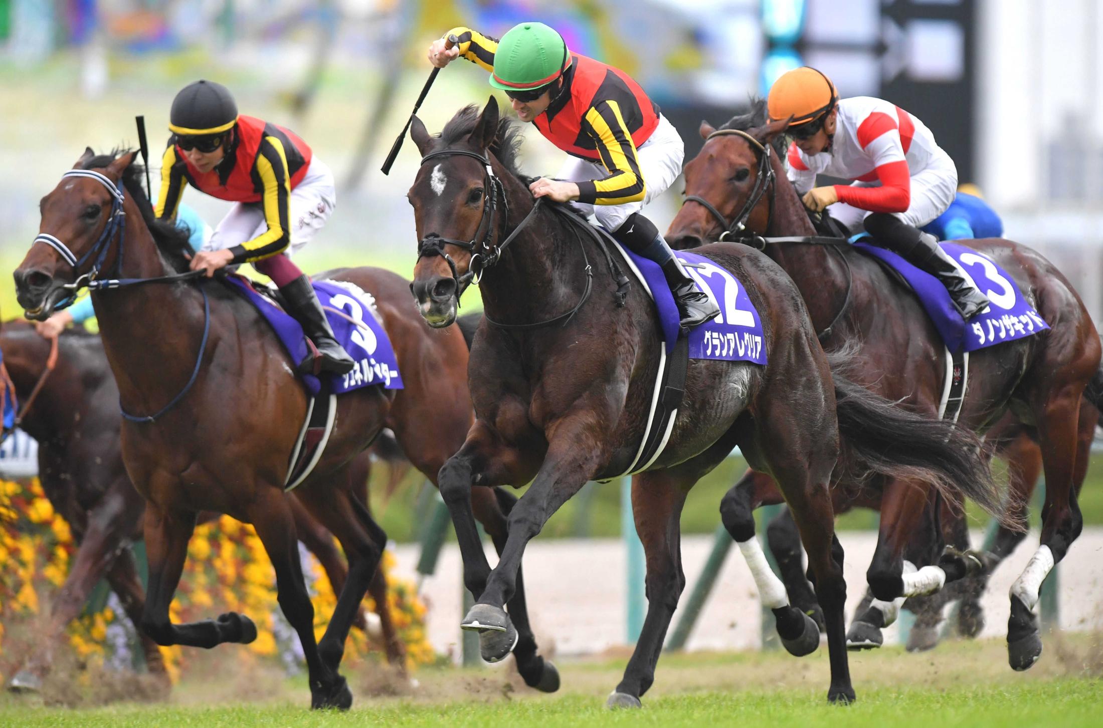 グランアレグリア 最優秀短距離馬に選出 ２年連続の栄誉 藤沢和師