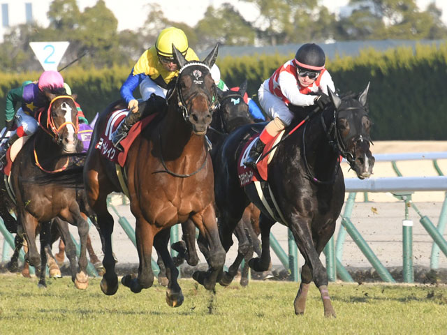 JRA・WIN5】本日のWIN5は的中34票、配当1663万5980円 | 競馬ニュース - netkeiba