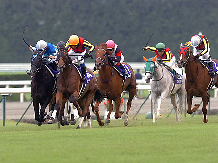 ジェンティルドンナ4枠7番、ゴールドシップ7枠13番/ジャパンカップ枠順 | 競馬ニュース - netkeiba