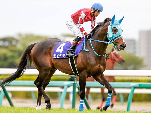 競馬ファンが選ぶ最優秀障害馬】中山大障害で復活Vのオジュウチョウサンなど/netkeiba大賞 最終結果発表 | 競馬ニュース - netkeiba