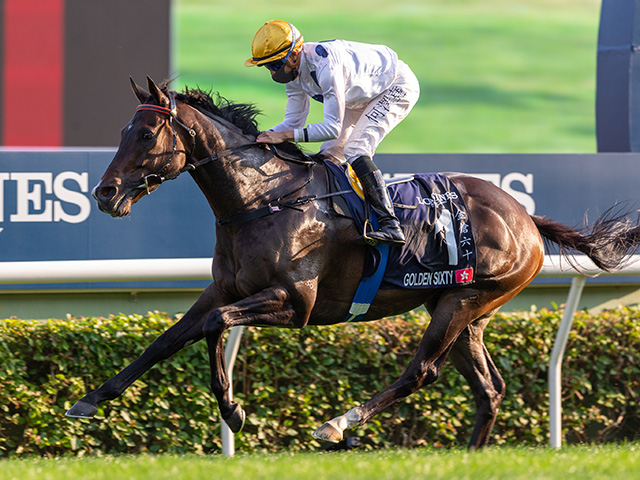 香港最強馬ゴールデンシックスティ17連勝なるか、23日のG1スチュワーズ 