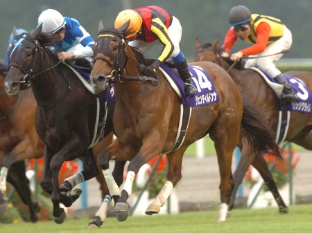 史上初の連覇なるか、ジェンティルドンナが2.6倍で1番人気/ジャパン