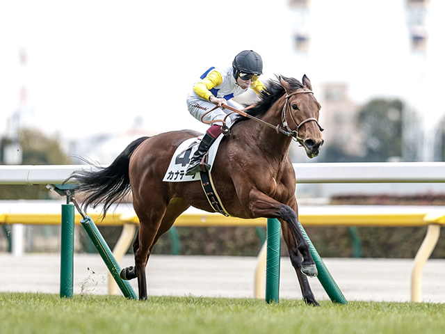 メイクデビュー東京6Rレース後コメント】カナテープ横山武史騎手ら