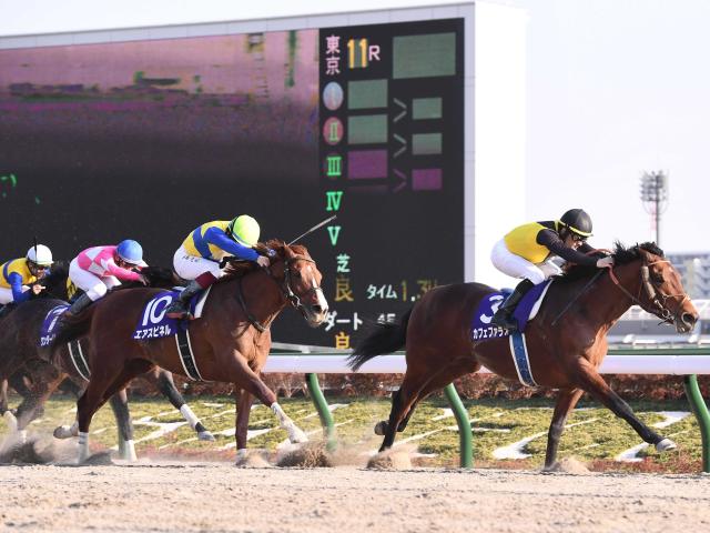 フェブラリーＳ当日の入場料が５００円になった理由とは | 競馬