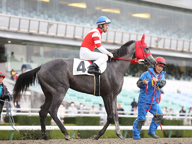 地方競馬】オグリキャップの孫娘 笠松競馬デビュー戦は6着 | 競馬ニュース - netkeiba