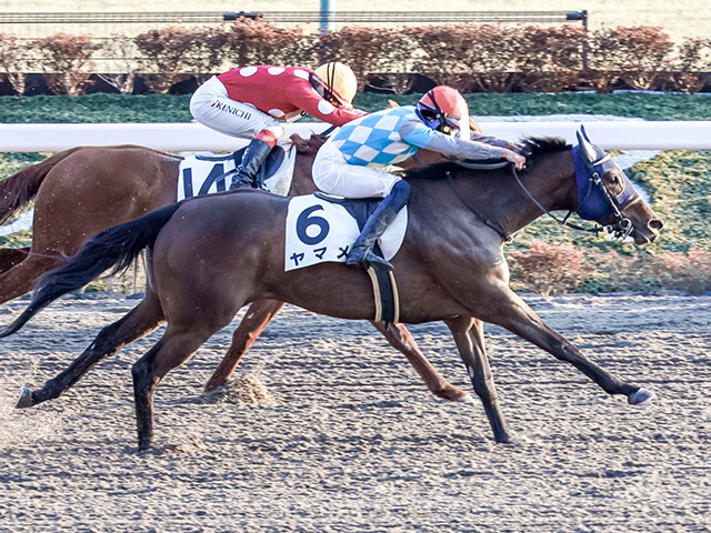 東京12R】単勝54940円ヤマメがV！中央競馬歴代3位の単勝高額配当