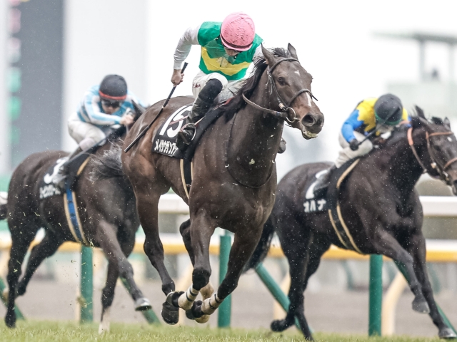 初音S】(東京) メイサウザンアワーが接戦を制して連勝を決める | 競馬