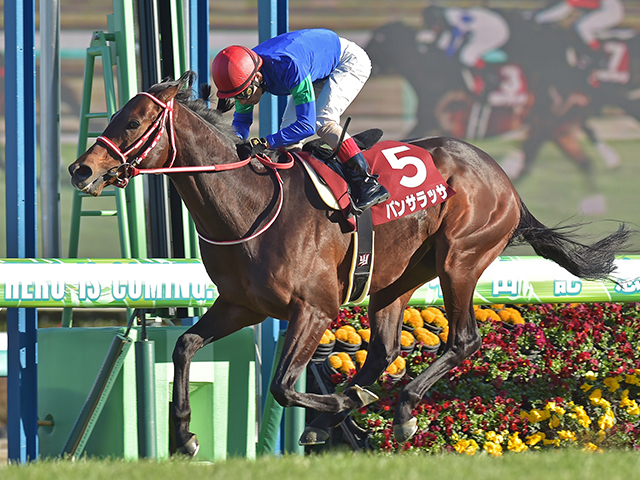 中山記念結果】パンサラッサが大逃げを決めて重賞2勝目 | 競馬ニュース