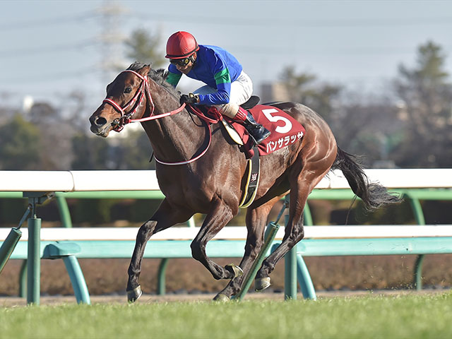 次走】パンサラッサはドバイターフへ 鞍上は引き続き吉田豊騎手で 