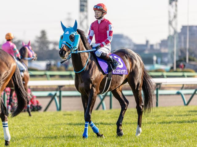 今日の注目ポイント】オジュウチョウサンの日本馬最高齢JRA重賞勝利なるか | 競馬ニュース - netkeiba