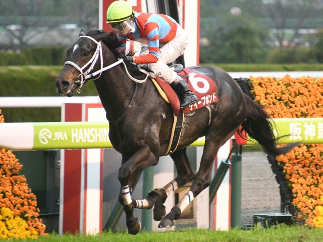 売れ筋介護用品も！ 【単勝馬券】世紀末覇王 テイエムオペラオー 阪神