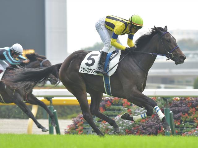 次走】スターズオンアースは川田将雅騎手とのコンビで桜花賞へ | 競馬ニュース - netkeiba