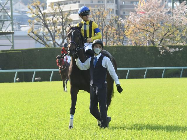 桜花賞レース後コメント】スターズオンアース川田将雅騎手ら | 競馬ニュース - netkeiba