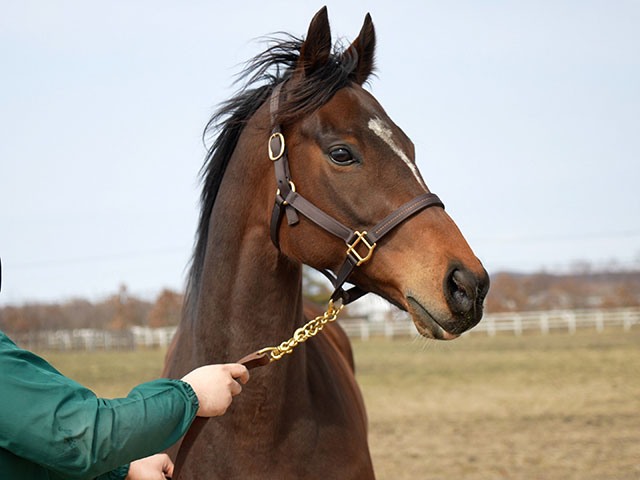 ラヴズオンリーユーが初仔を受胎！父はエピファネイア、来春に6冠ベビー誕生へ | 競馬ニュース - netkeiba