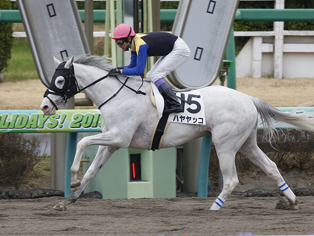 天皇賞・春 想定】ルメール騎手はハーツイストワール、武豊騎手 ...