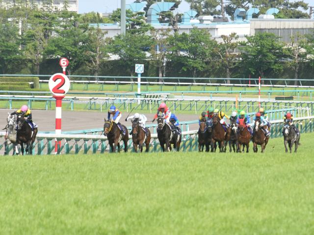 JRA・WIN5】1番人気が3勝し的中2232票、配当24万2280円 | 競馬ニュース - netkeiba