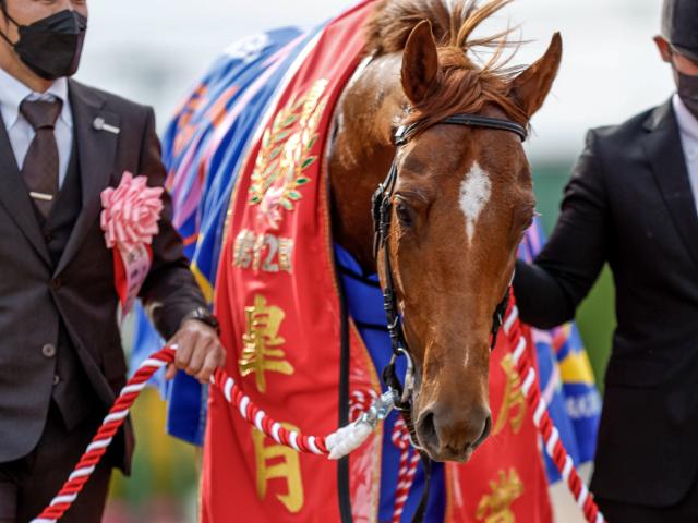 日本ダービー】登録馬 ダノンベルーガ、ジオグリフなど22頭 | 競馬