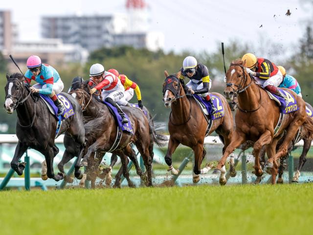 日本ダービー見どころ】2019年に生まれたサラブレッドの頂点に立つのは