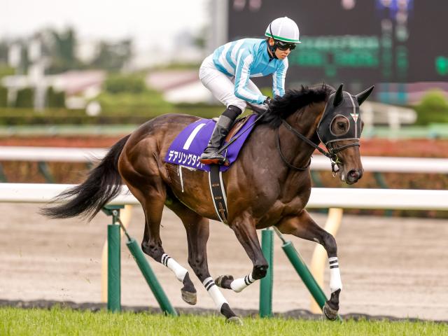 非売品】デアリングタクト 三冠記念 ブルゾン ジャンパー 競馬 ...